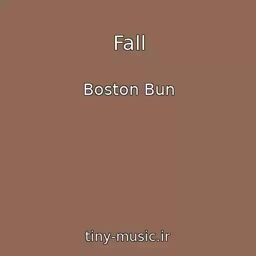 کاور آهنگ Fall از Boston Bun
