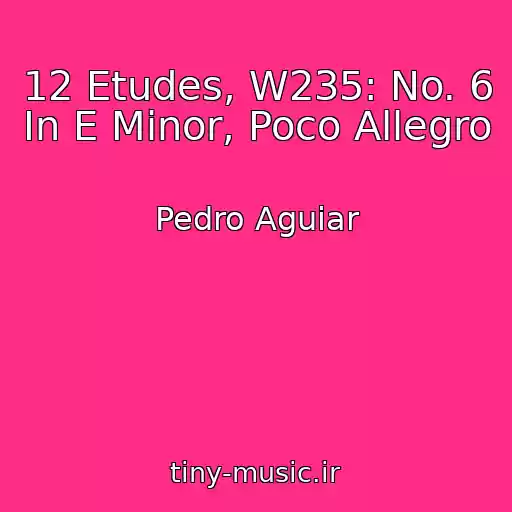 کاور آهنگ 12 Etudes, W235: No. 6 In E Minor, Poco Allegro از Pedro Aguiar