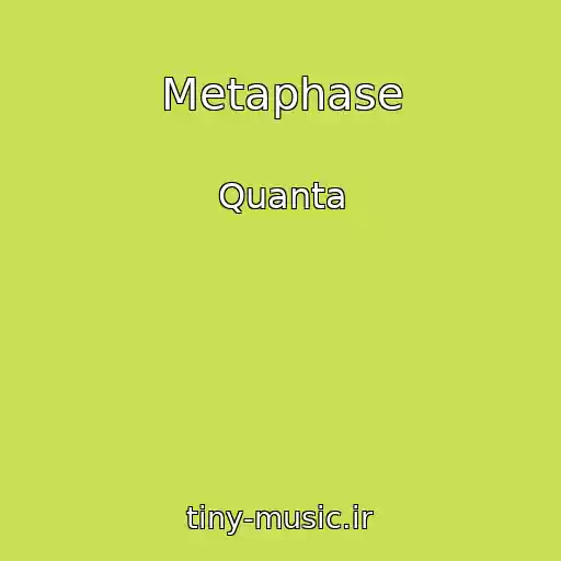 کاور آهنگ Metaphase از Quanta