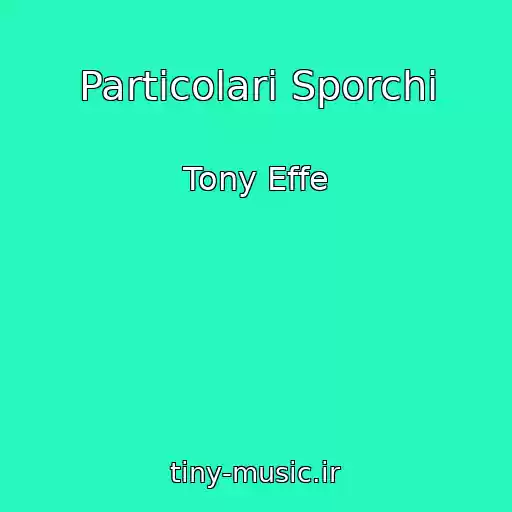 کاور آهنگ Particolari Sporchi از Tony Effe