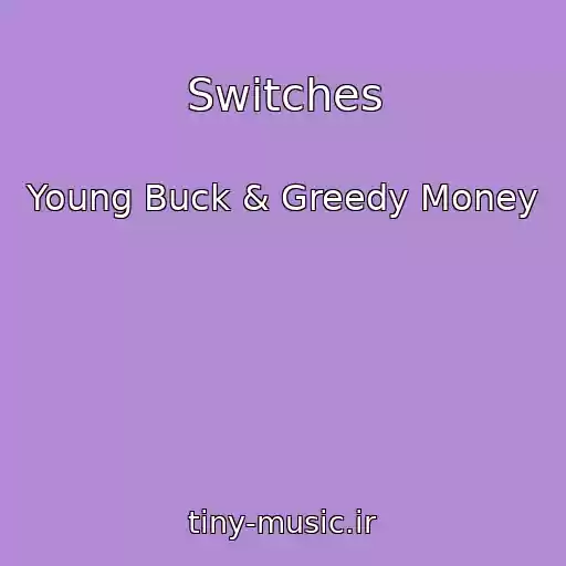 کاور آهنگ Switches از Young Buck & Greedy Money
