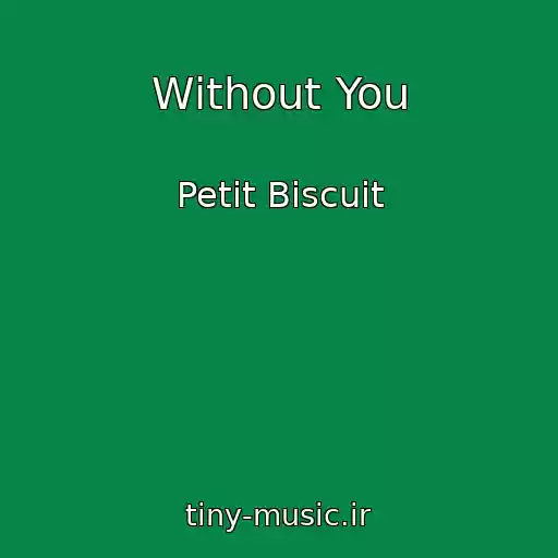 کاور آهنگ Without You از Petit Biscuit