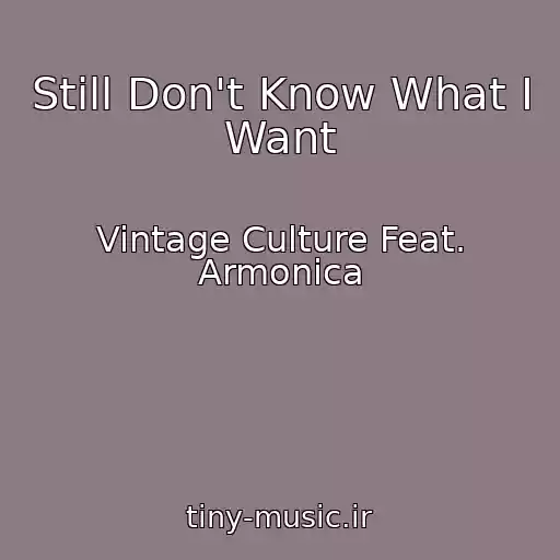 کاور آهنگ Still Don't Know What I Want از Vintage Culture Feat. Armonica
