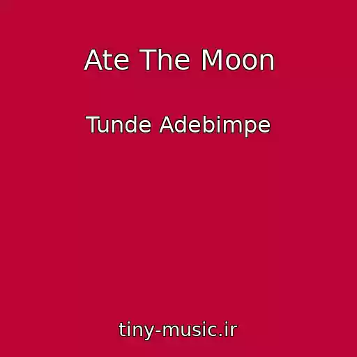 کاور آهنگ Ate The Moon از Tunde Adebimpe