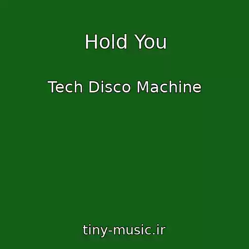 کاور آهنگ Hold You از Tech Disco Machine