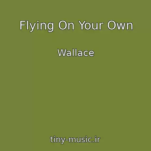 کاور آهنگ Flying On Your Own از Wallace