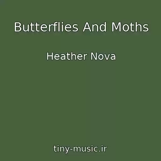 کاور آهنگ Butterflies And Moths از Heather Nova