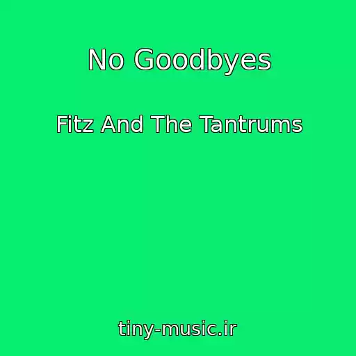 کاور آهنگ No Goodbyes از Fitz And The Tantrums