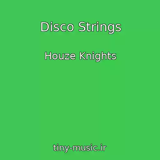 کاور آهنگ Disco Strings از Houze Knights