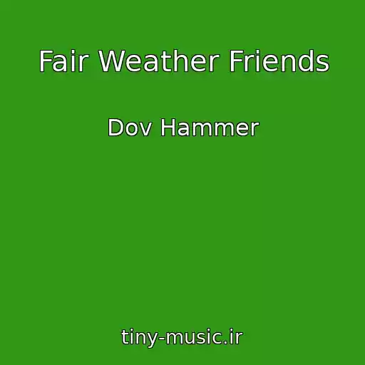 کاور آهنگ Fair Weather Friends از Dov Hammer