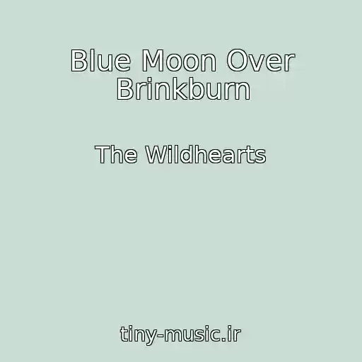 کاور آهنگ Blue Moon Over Brinkburn از The Wildhearts