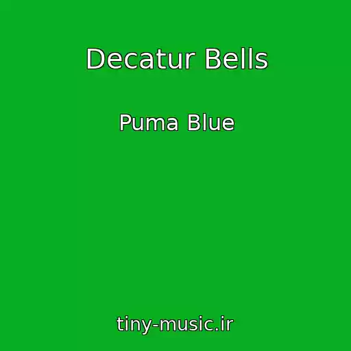 کاور آهنگ Decatur Bells از Puma Blue