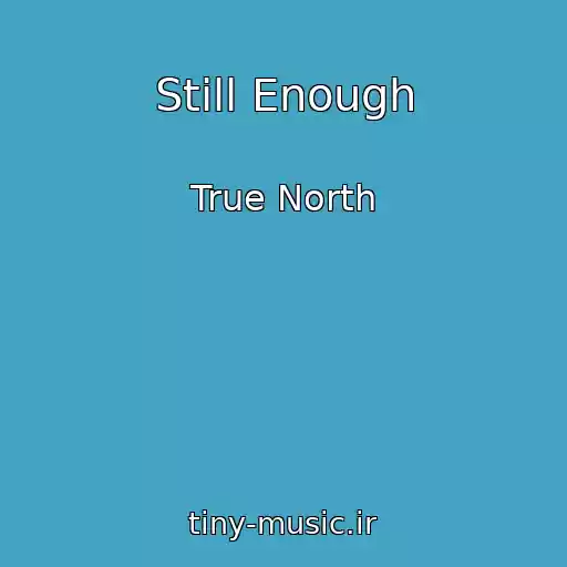 کاور آهنگ Still Enough از True North