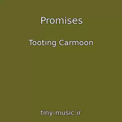 کاور آهنگ Promises از Tooting Carmoon