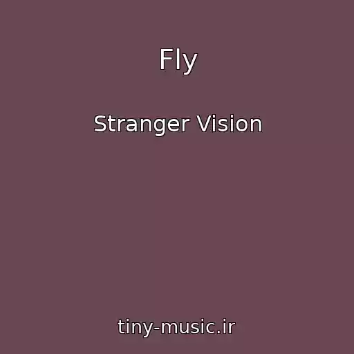 کاور آهنگ Fly از Stranger Vision