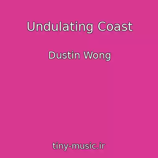 کاور آهنگ Undulating Coast از Dustin Wong