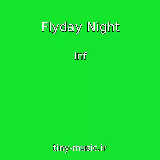 کاور آهنگ Flyday Night از Inf
