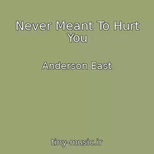 کاور آهنگ Never Meant To Hurt You از Anderson East