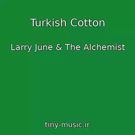 کاور آهنگ Turkish Cotton از Larry June & The Alchemist
