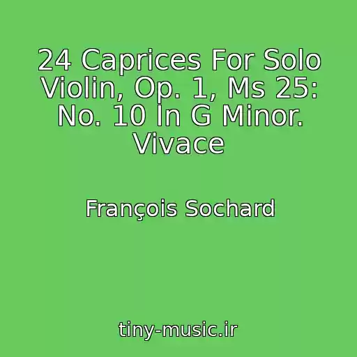 کاور آهنگ 24 Caprices For Solo Violin, Op. 1, Ms 25: No. 10 In G Minor. Vivace از François Sochard