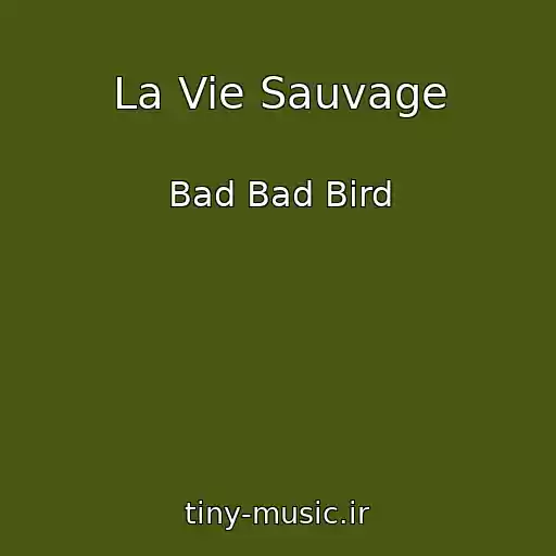کاور آهنگ La Vie Sauvage از Bad Bad Bird