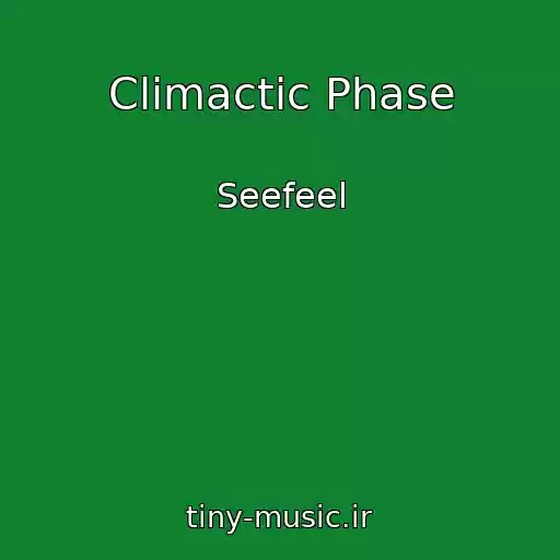 کاور آهنگ Climactic Phase از Seefeel