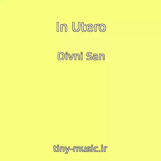 کاور آهنگ In Utero از Divni San
