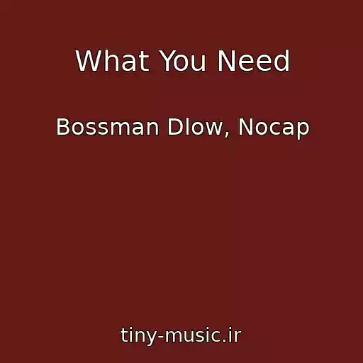 کاور آهنگ What You Need از Bossman Dlow, Nocap