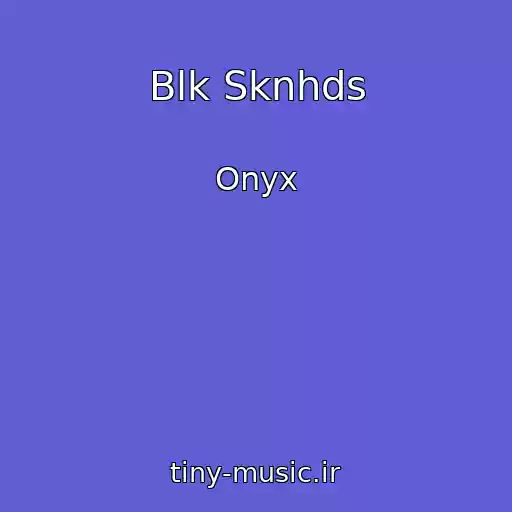 کاور آهنگ Blk Sknhds از Onyx