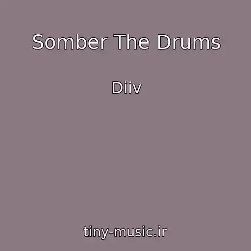 کاور آهنگ Somber The Drums از Diiv