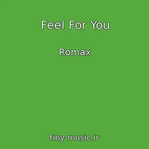 کاور آهنگ Feel For You از Romax