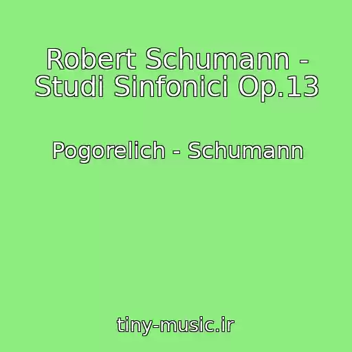 کاور آهنگ Robert Schumann - Studi Sinfonici Op.13 از Pogorelich - Schumann