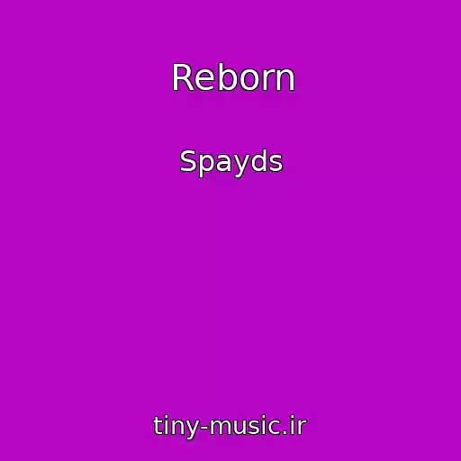 کاور آهنگ Reborn از Spayds