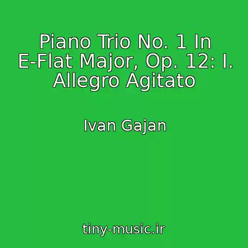 کاور آهنگ Piano Trio No. 1 In E-Flat Major, Op. 12: I. Allegro Agitato از Ivan Gajan