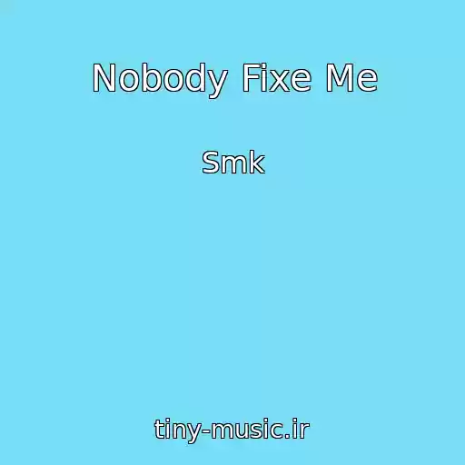 کاور آهنگ Nobody Fixe Me از Smk