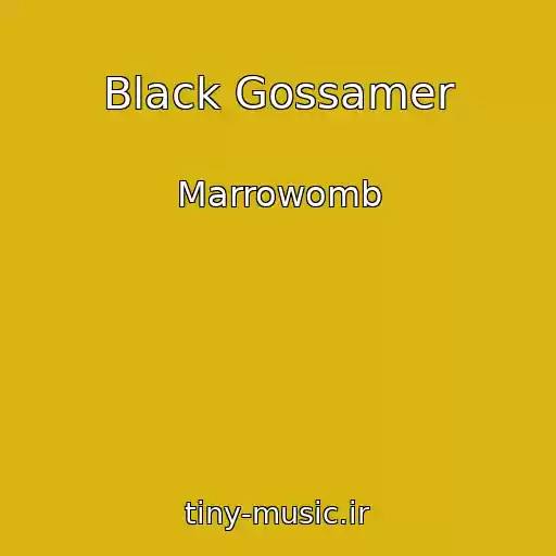 کاور آهنگ Black Gossamer از Marrowomb