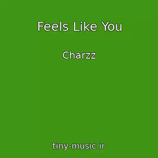 کاور آهنگ Feels Like You از Charzz