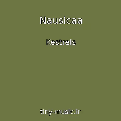 کاور آهنگ Nausicaa از Kestrels