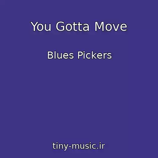 کاور آهنگ You Gotta Move از Blues Pickers
