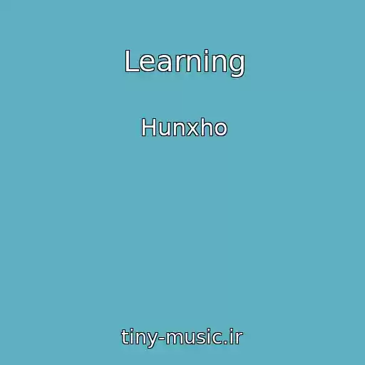 کاور آهنگ Learning از Hunxho