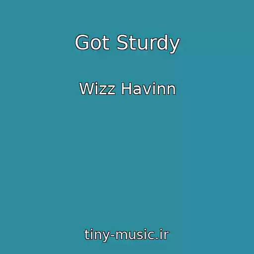 کاور آهنگ Got Sturdy از Wizz Havinn