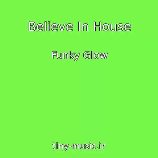 کاور آهنگ Believe In House از Funky Glow