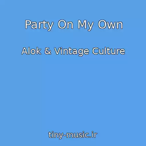 کاور آهنگ Party On My Own از Alok & Vintage Culture