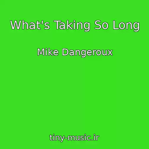 کاور آهنگ What's Taking So Long از Mike Dangeroux