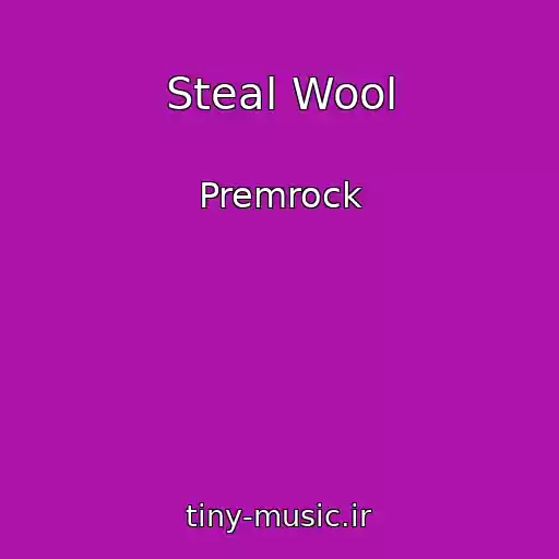 کاور آهنگ Steal Wool از Premrock