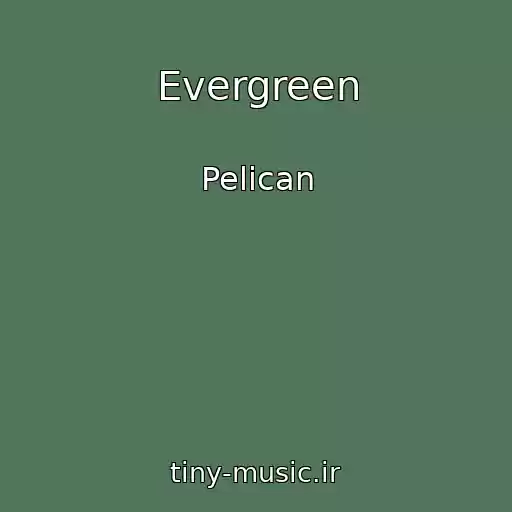 کاور آهنگ Evergreen از Pelican