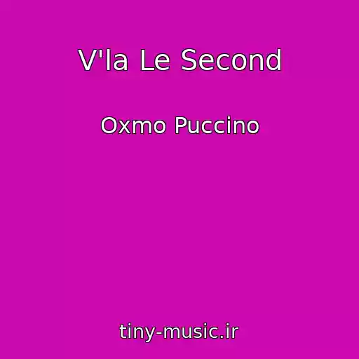 کاور آهنگ V'la Le Second از Oxmo Puccino