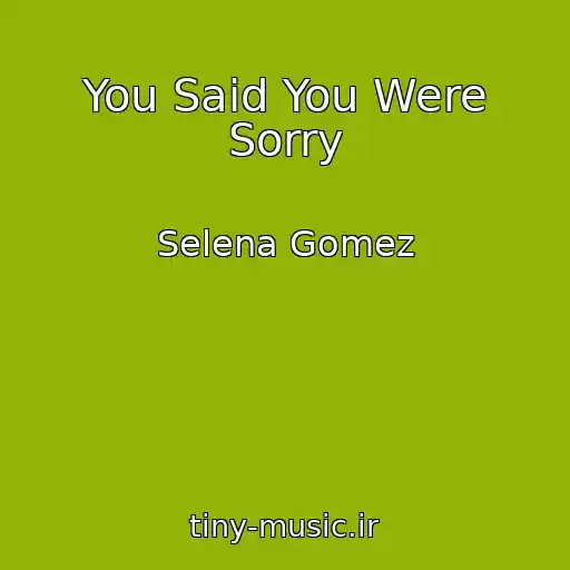 کاور آهنگ You Said You Were Sorry از Selena Gomez