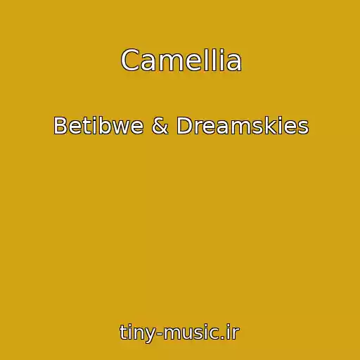 کاور آهنگ Camellia از Betibwe & Dreamskies