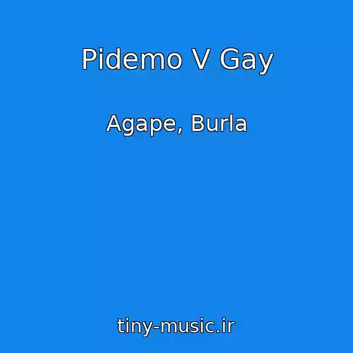 کاور آهنگ Pіdemo V Gay از Agape, Burla